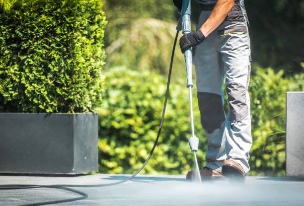 Best Building Exterior Washing  in Silver Lakes, CA